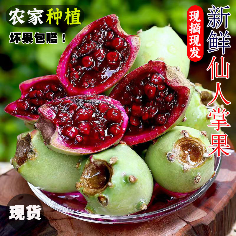 现摘海南仙人掌果鲜果实5斤大果新鲜现摘野生仙桃应当季热带水果