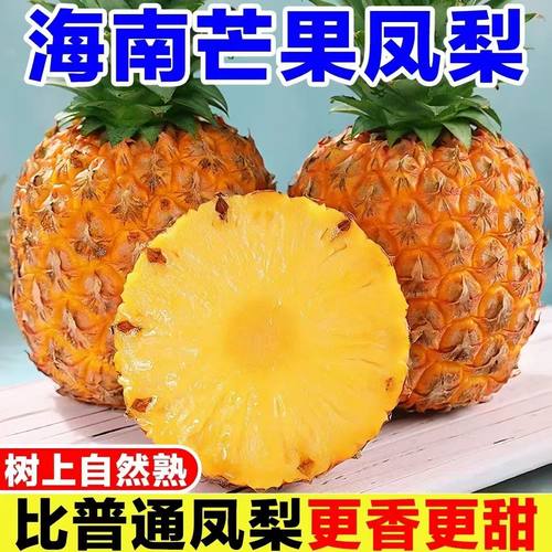 正宗海南芒果凤梨新鲜菠萝台农冬蜜金钻凤梨菠萝大果当季孕妇水果