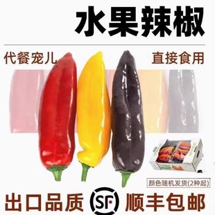 现摘新鲜甜芭莱姆彩椒彩箱爽脆甜多汁巴莱姆甜椒生吃不辣新鲜辣椒