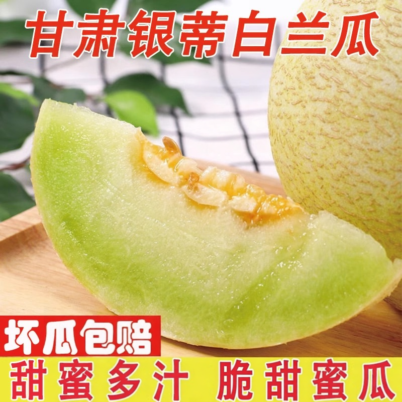 甘肃兰州白兰瓜银蒂哈密瓜白皮脆甜沙漠精品新鲜蜜瓜水果当季整箱