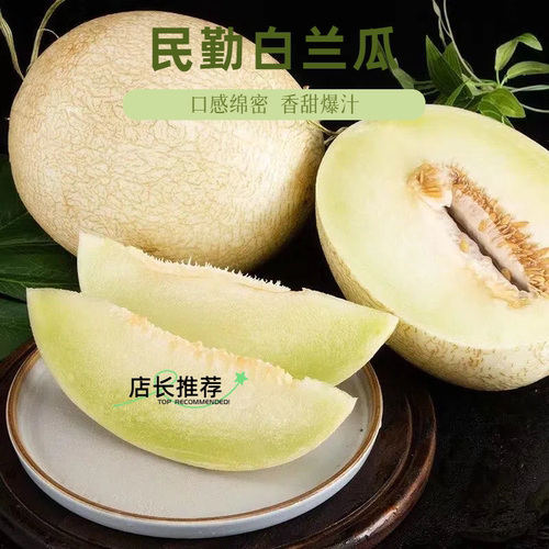 甘肃兰州白兰瓜银蒂哈密瓜白皮脆甜沙漠精品新鲜蜜瓜水果当季整箱