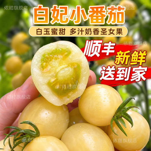 顺丰山东寿光白妃番茄白色圣女果新鲜白番茄白色水果小柿子现摘