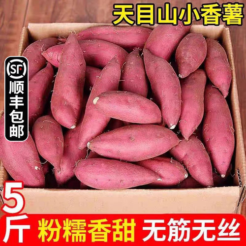 临安天目山正宗小香薯顺丰包邮