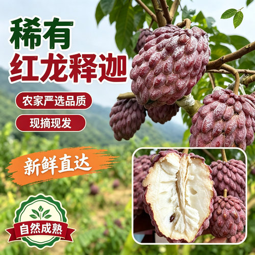 旗舰店发货送礼选新鲜糯糯香香口