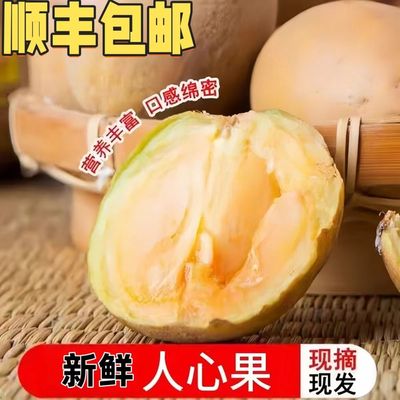 【顺丰】越南人心果新鲜当季孕妇香甜果现摘稀罕见热带养生人参果