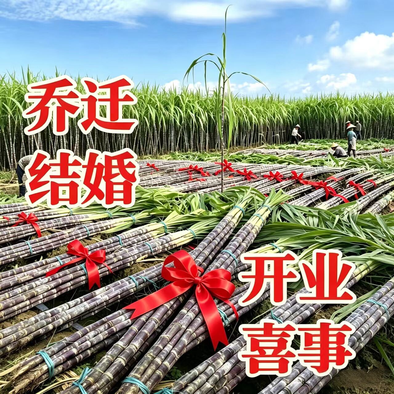 2整根 新鲜甘蔗海南新鲜甘蔗黑皮甘蔗结婚搬家乔迁红皮甘蔗喜甘蔗