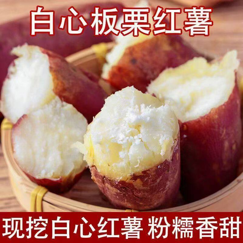 白心板栗薯新鲜红薯栗子香白薯白瓤地瓜红皮白心红薯干粉番薯9斤