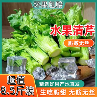 水果清芹芯500克新鲜蔬菜生吃即食水果西芹嫩芽酒店特菜水果芽青