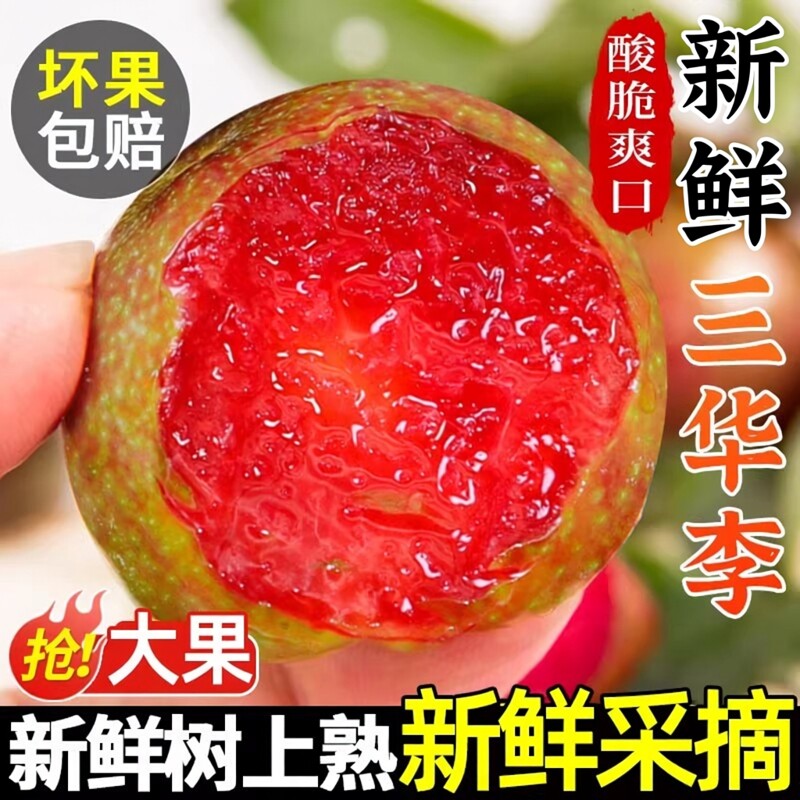 现货广东红心三华李新鲜现摘李子水果当季樱桃孕妇信宜酸甜芙蓉李