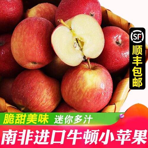 进口旗舰店水果现摘新鲜孕妇水果