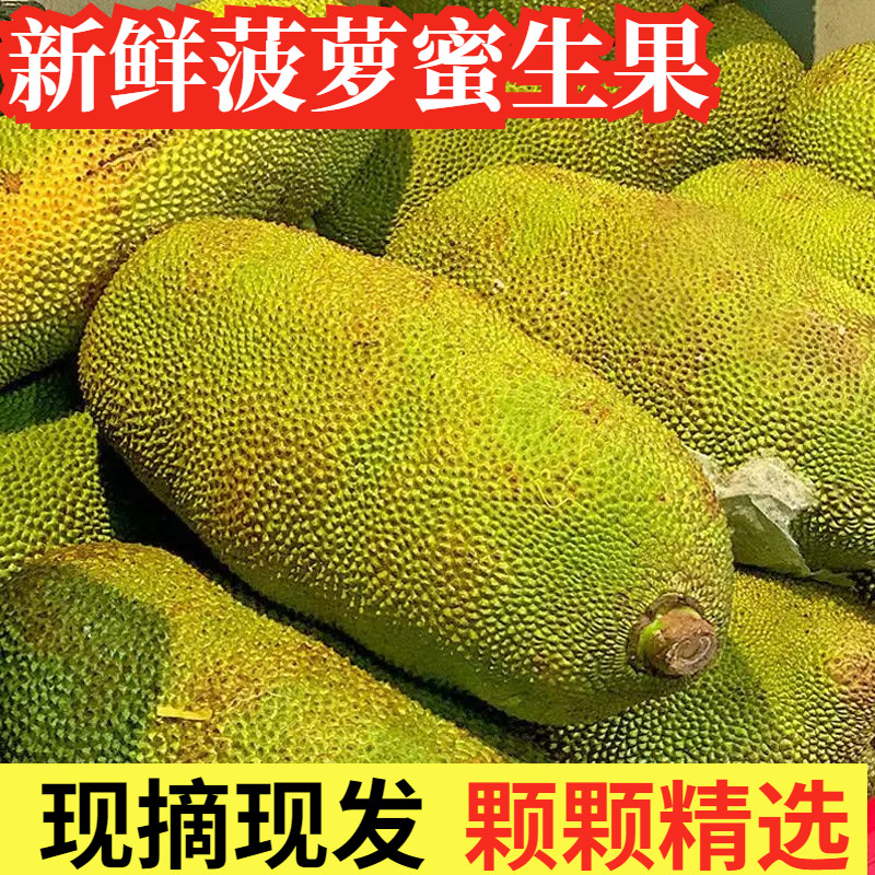 海南菠萝蜜生果嫩果新鲜炒菜煲汤沙拉白肉整个烹饪水果,水产肉类/新鲜蔬果/熟食,菠萝蜜,淘宝优惠券,粉丝福利购,淘宝优惠卷