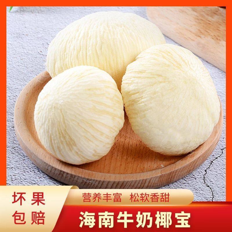 海南新鲜椰宝正宗发芽老椰子肉当季现摘新鲜孕妇水果椰汁椰皇包邮