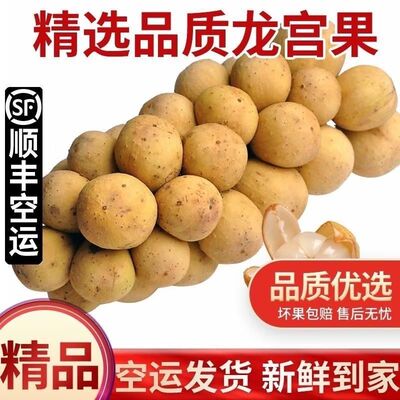 顺丰泰国进口龙宫果新鲜5斤热带当季高端孕妇水果甜椰色果龙贡果