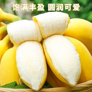 正宗苹果蕉 整箱水果粉蕉小米芭蕉香焦海南 香蕉新鲜3斤自然熟当季