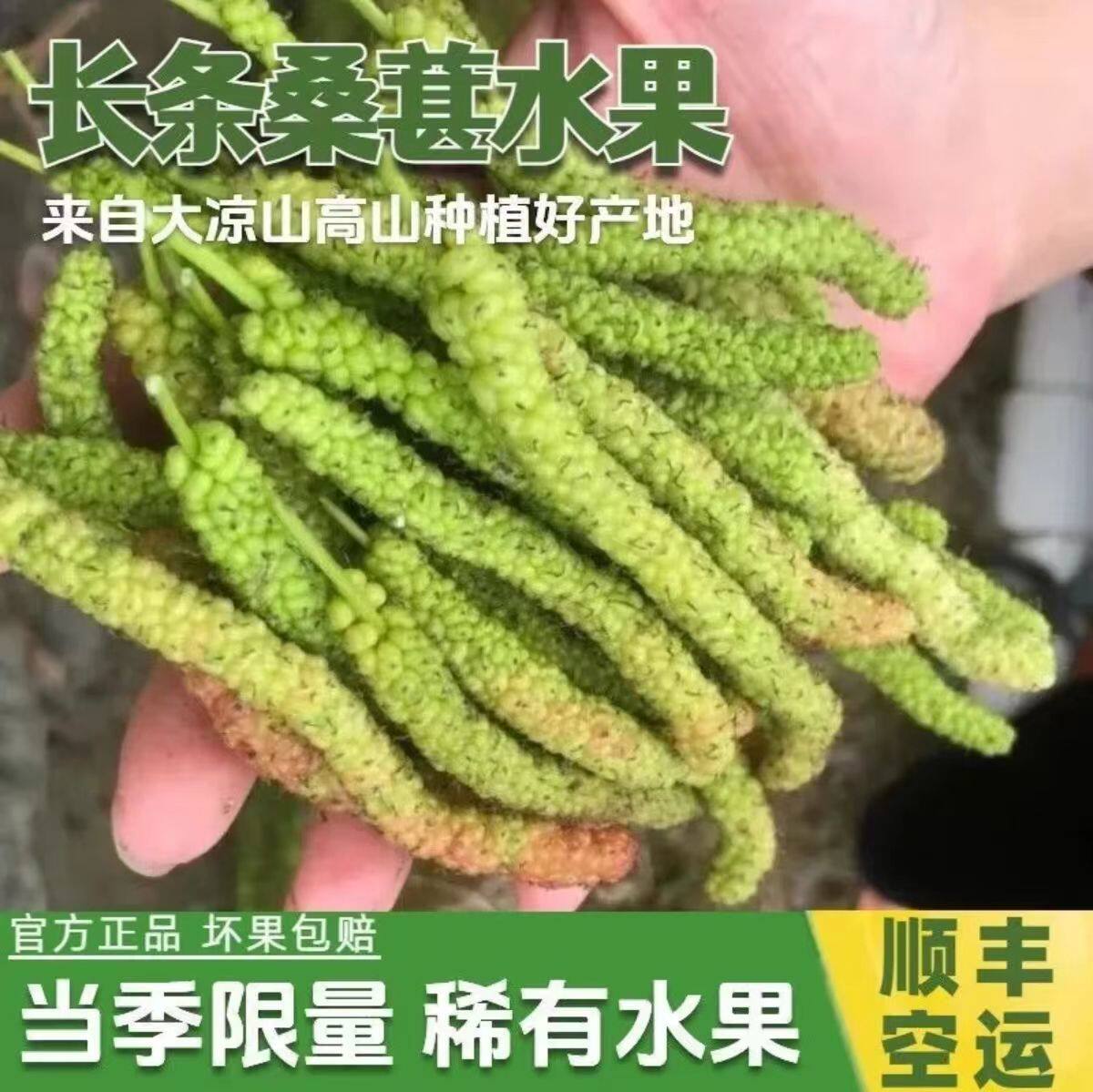 顺丰空运金香桑葚白色长果桑纯甜果桑大果浓香新鲜无沙免洗长桑