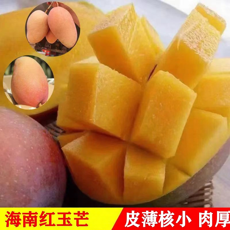 海南芒果红玉芒果玉文芒三亚特产超大芒果当季新鲜孕妇水果5三亚
