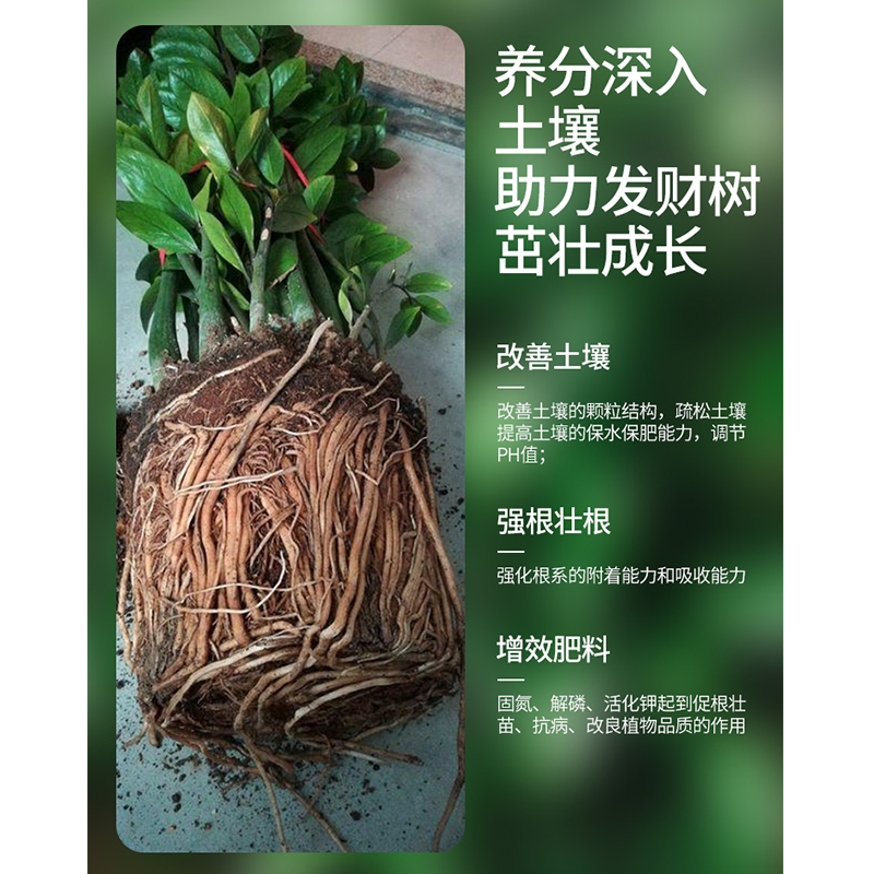 发财树营养液专用肥花肥料室内盆栽植物金钱树土水培通用浓缩家用