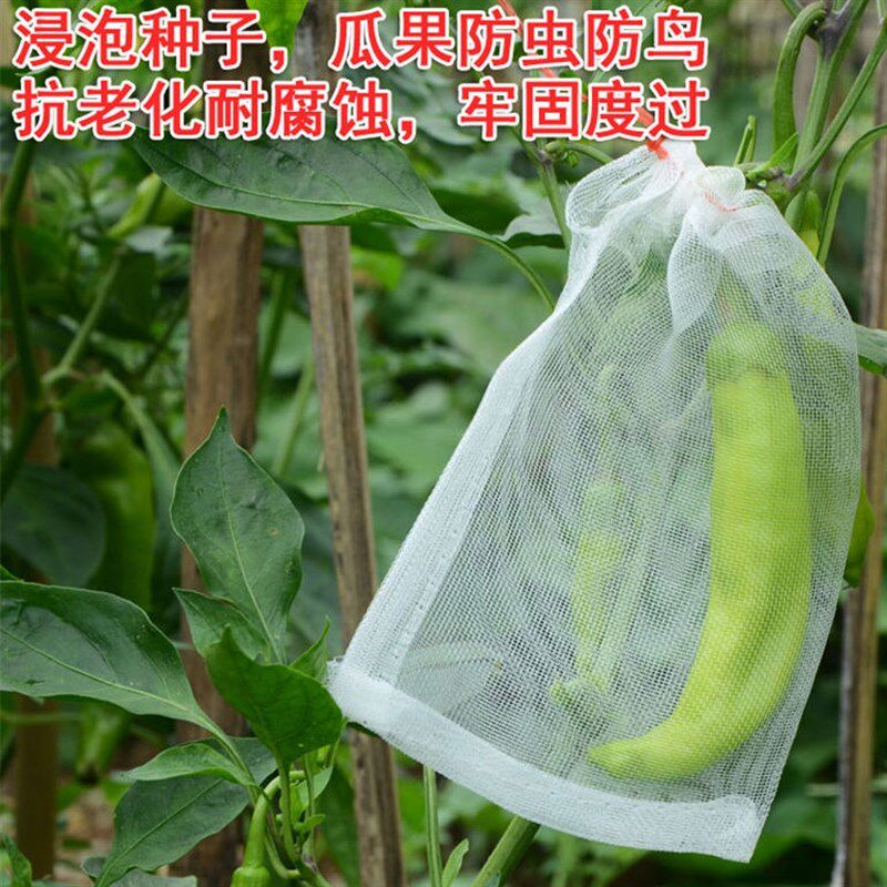 极速尼龙网防鸟纱网水果草莓果实防蝇防虫网套袋包枇杷番石榴梨保