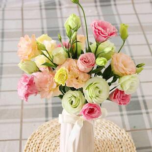 新鲜洋桔梗鲜花云南基地直发大量直销生活办公室生日节日婚礼家庭