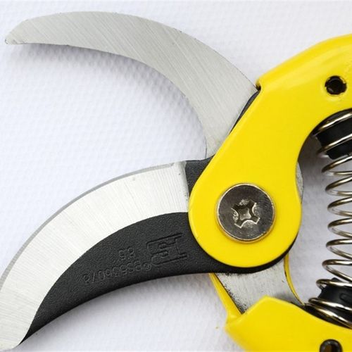 极速。不锈钢弯h嘴园艺花枝剪刀 多功能园林树枝修枝剪花园修剪刀