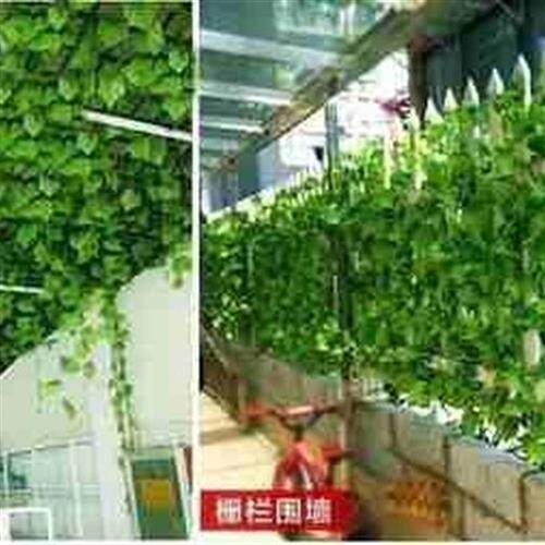 新品吊顶装饰塑料铝格珊吊顶葡萄架天花网Q格方格栏棚花藤射灯