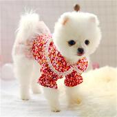 极速比熊泰迪宠物碎花蕾丝仙女裙春夏款 I透气雪纳瑞吉娃娃狗狗衣