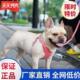 极速 绳子遛q狗调节胸背带防链子防咬断挣脱小型犬牵引 狗背心式
