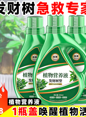 极速发财树营养液室内专用黄叶枯叶烂根通K用型肥料客厅水培植物