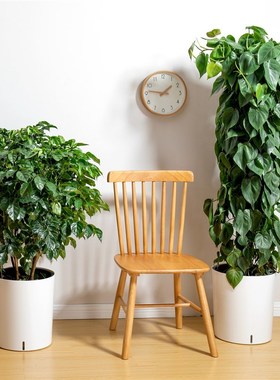 极速白色自动f吸水花盆北欧风花盆大号懒人种植花C盆塑料树脂家居