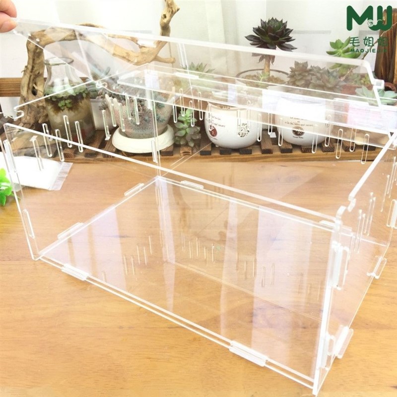 极速爬宠饲养箱压j克力爬虫饲养盒宠物箱蜘蛛守宫角蛙甲虫蛇爬宠