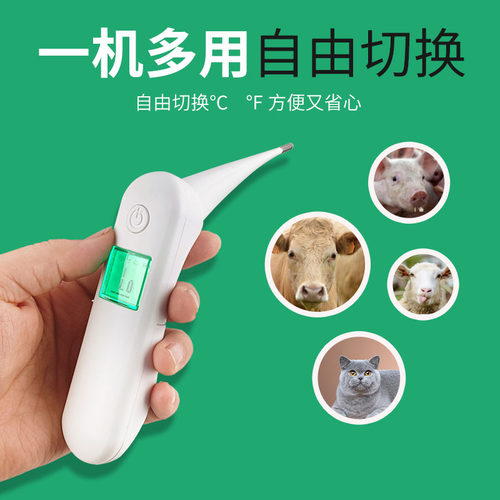 新品兽用电子g温度计牛羊马猪用体温计猫狗宠物肛温计养殖场快速