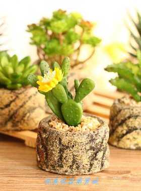极速家居装饰品多肉植物盆栽小摆件家庭院阳台Q迷你工艺品创意田