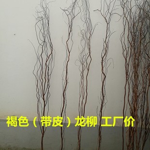 极速鲜枝龙条干枝鲜龙柳编织心形手捧花干燥O花婚庆拱门专用柳枝