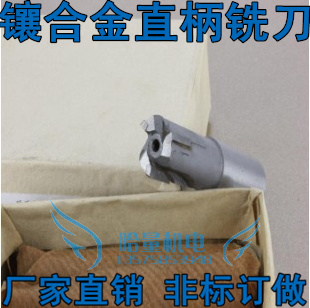 极速冲冠镶合金直h柄立铣刀5 6 8 10 12 14 16 20mm规格齐全 非标