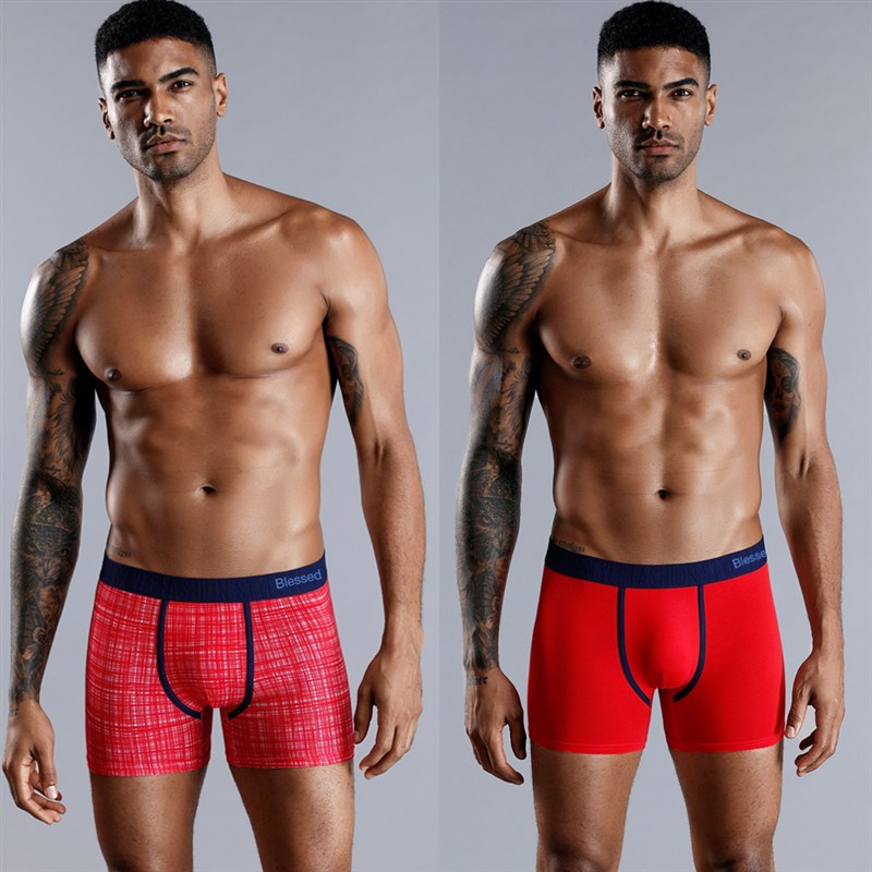 4pcs Set Men Boxer Shorts Soft Boxers for Mens Panties Men