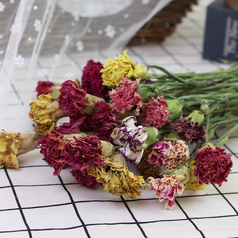 好货母亲节康乃馨干花云南干花花束真花插花配花diy花束花材一束1