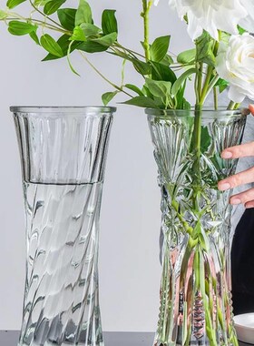 玻璃花瓶透明水培富贵竹百合花瓶摆件客厅插花干燥花北欧家用特大