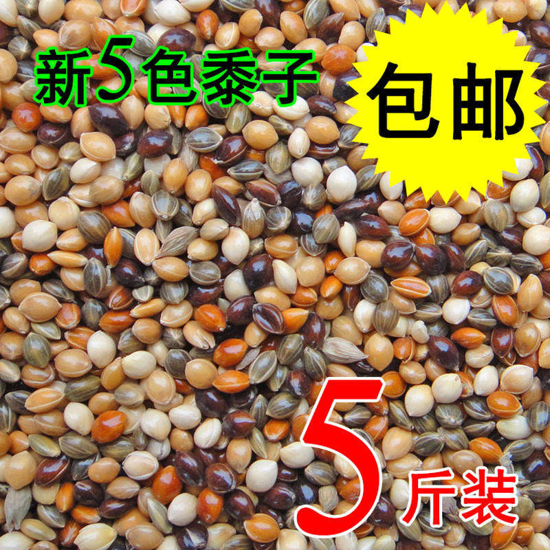 好货虎皮牡丹玄凤中小型鹦鹉鸟食饲料五色黍子鹦鹉混合粮谷子包邮