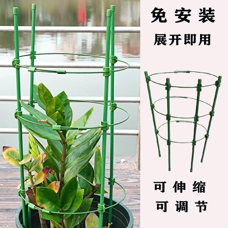 花架支伸缩杆蟹爪兰支架金钱树支撑爬藤防倒铁线莲月季三角梅爬藤