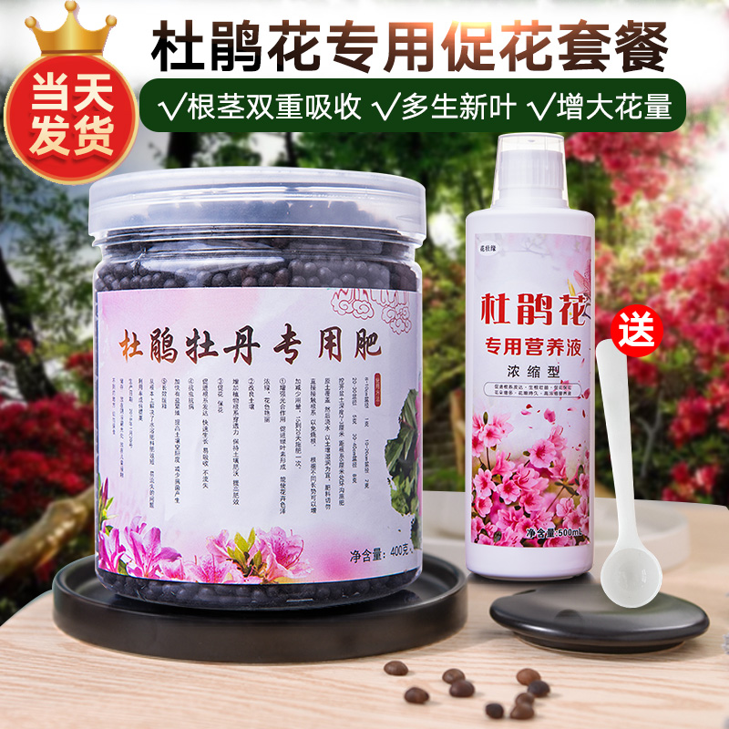 杜鹃花专用营养液花肥叶面喷雾肥料喜酸有机液体肥防黄叶促开花肥