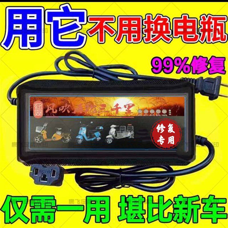 厂家智能通用 立马/新日/欧派/绿驹/绿h能/新的/凤凰 电动车电瓶