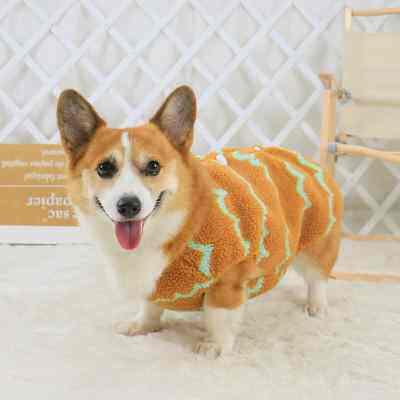 极速宠物狗狗衣服秋款秋冬背心柯基泰迪柴犬小型犬中型犬冬季春秋
