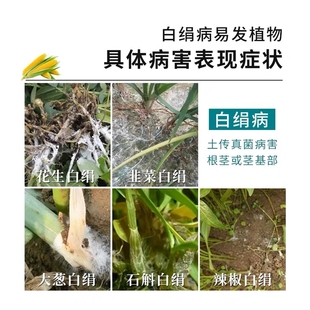 (2套起包邮)施维舒防治花生根腐病白绢病组合叶面肥