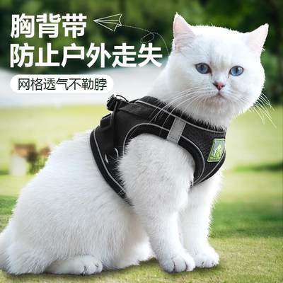 猫咪牵引绳防挣脱外出专用背心式出门遛猫绳自动伸缩背带舒适网红