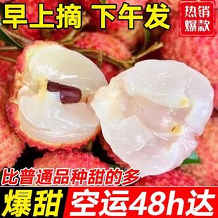 白糖早熟桂荔枝 包邮 整箱空运 海南妃子笑荔枝5斤新鲜水果当季