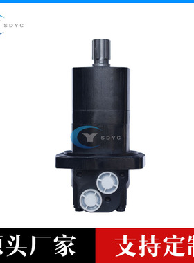 低速大扭矩 BM5系列摆线液压马达 扫雪机液压马达104-1004-006