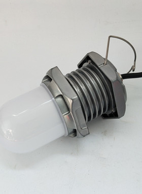 ZL8011 LED行灯 10W FW6325 LED泛光灯 低压安全照明灯 36V检修灯