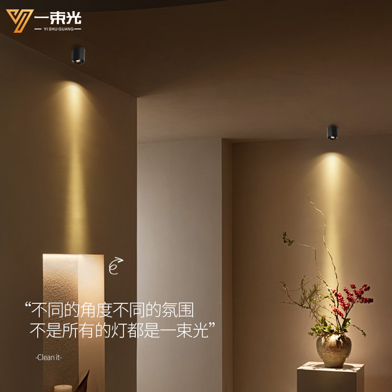 一束光聚光射灯明装茶室氛围酒柜工艺品摆饰绿植精准补光重点筒灯