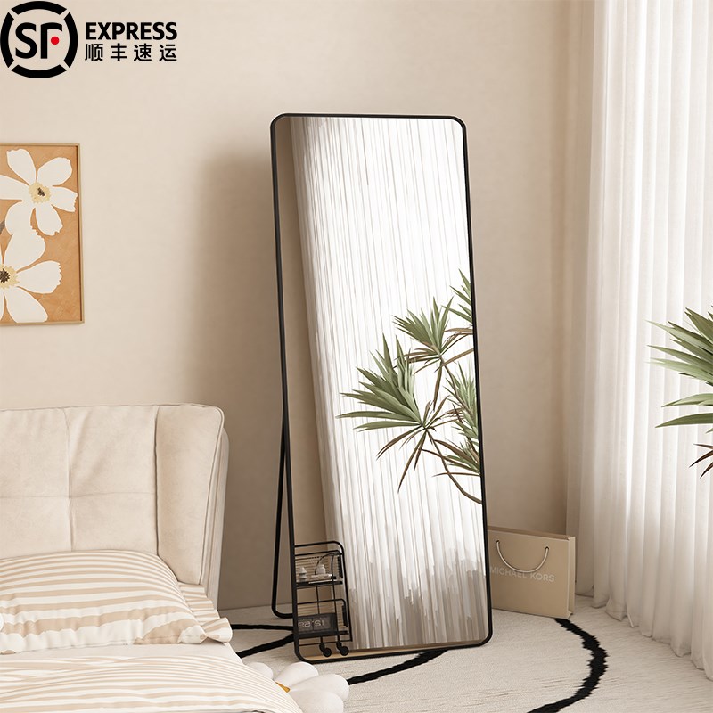 镜子全身镜穿衣落地镜子家用简约壁D挂贴墙网红女生卧室挂墙试衣