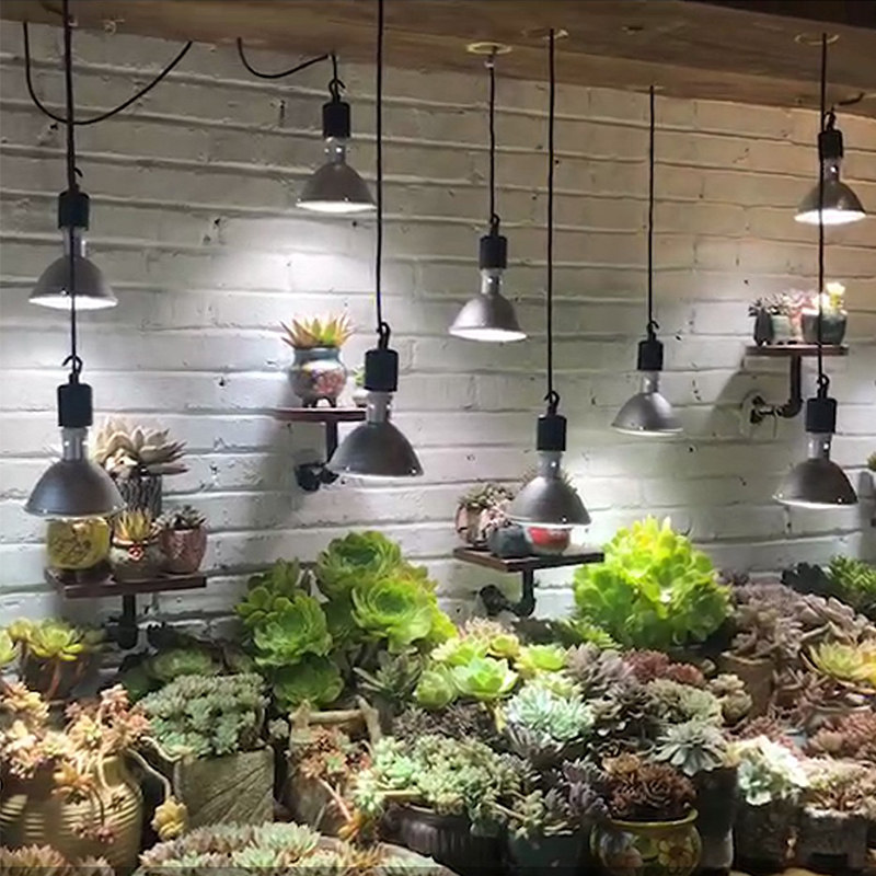 多肉金卤灯ledk全光谱仿太阳上色鱼缸水草模拟阳光室内植物补光灯